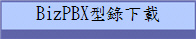 BizPBX型錄下載